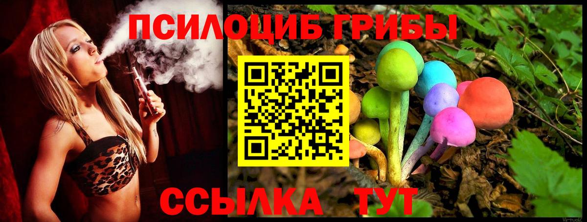 хочу   Вход с VPN  Кунгур  Галлюциногенные грибы ЛСД  Галлюциногенные грибы MAGIC MUSHROOMS 